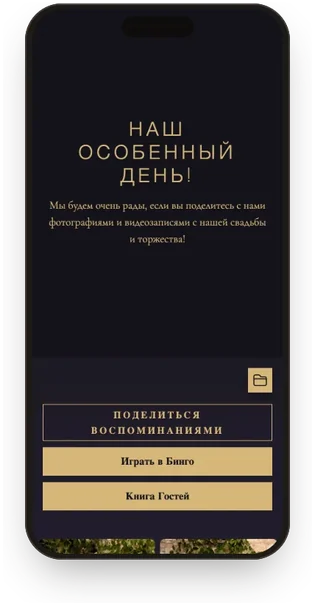 Галерея гостей в шаблоне «Чёрный и шампань»